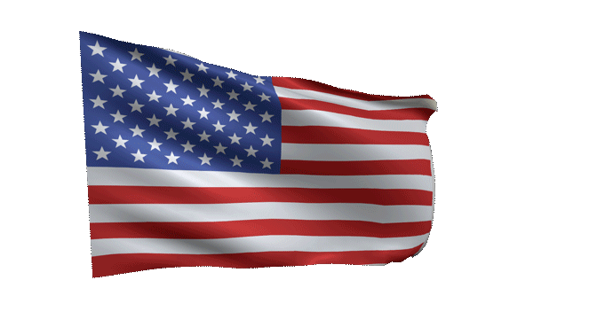 USA Flag
